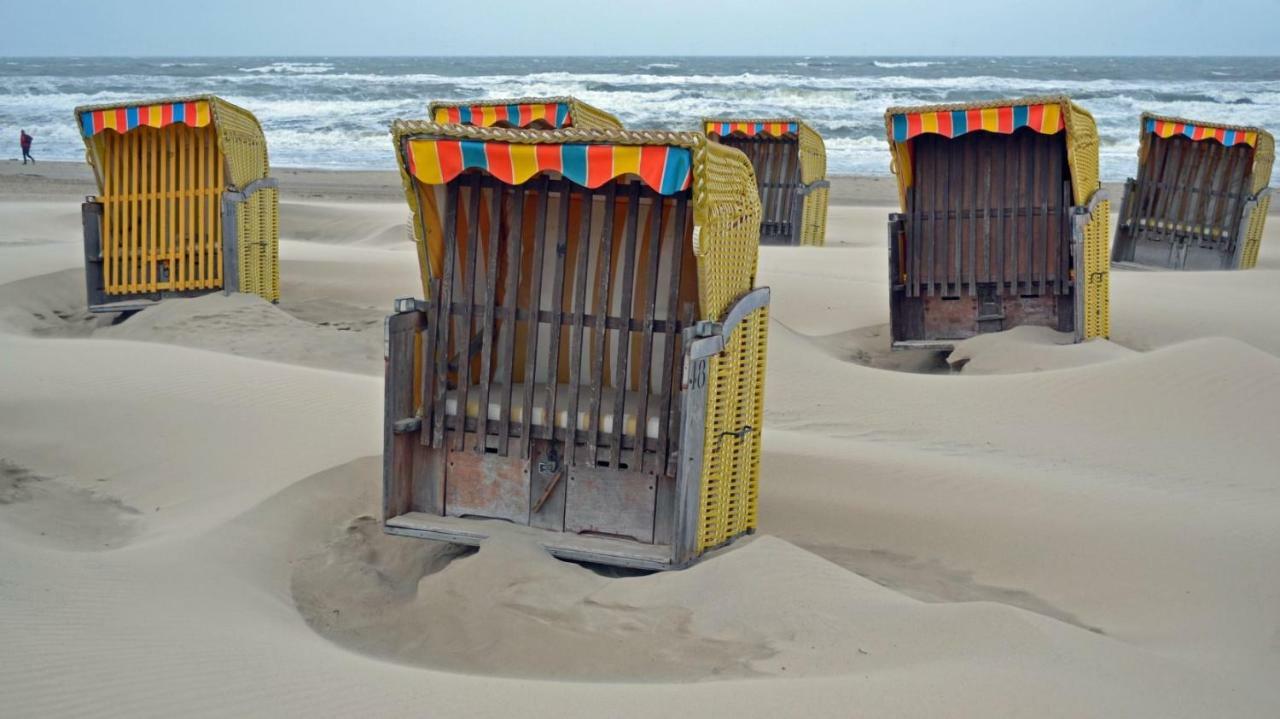 Zeesterflat 117 Egmond aan Zee Dış mekan fotoğraf